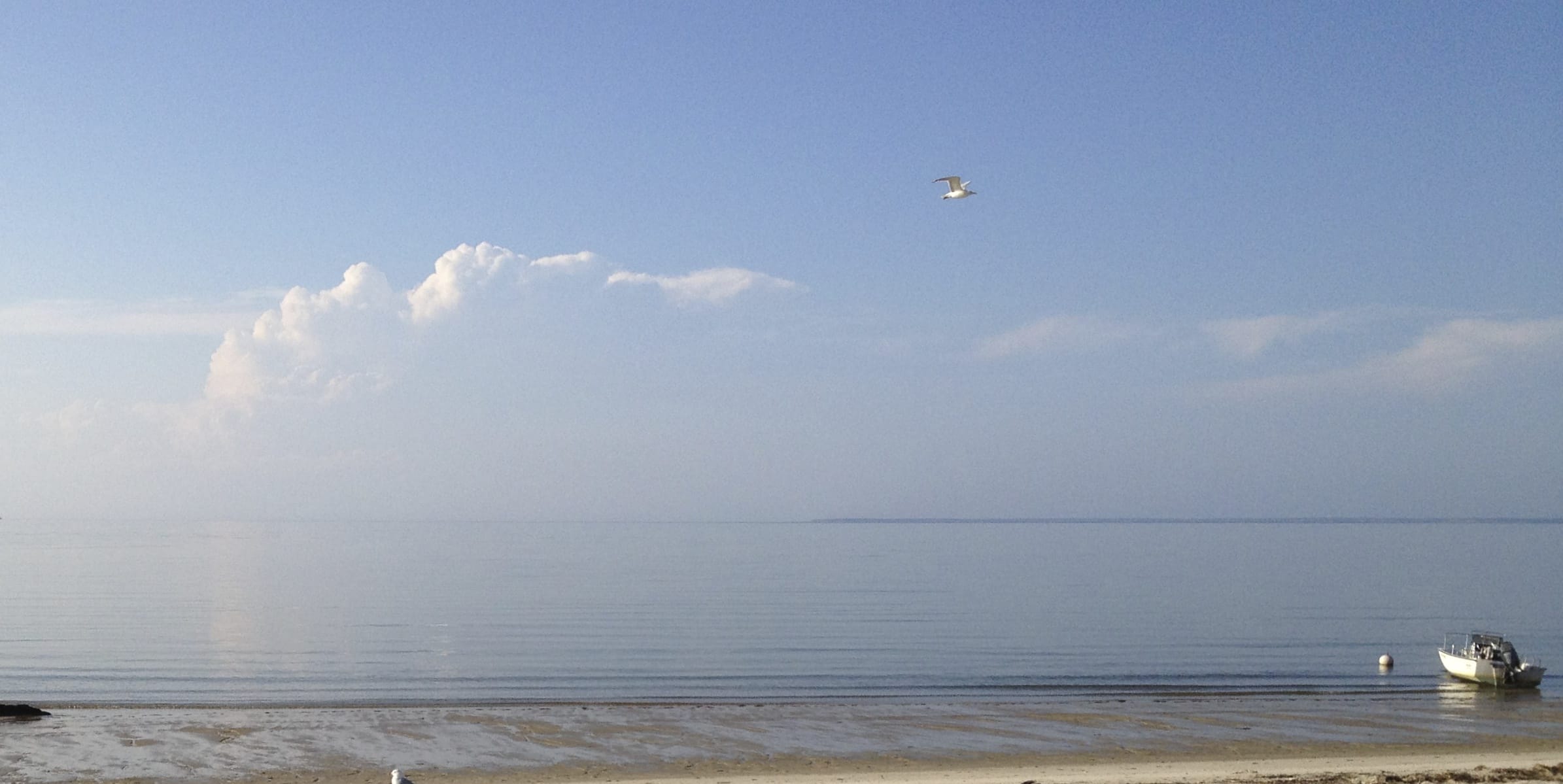 Pretty Picky Home Rentals - Capecod, Brewster, Orleans